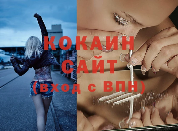 дмт Кинешма