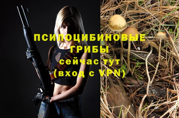 2c-b Киреевск