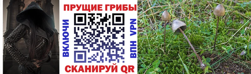 ссылка на мегу онион  Наволоки  Галлюциногенные грибы мухоморы 
